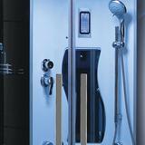 Mesa WS-600P Steam Shower