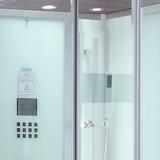 Platinum DZ961(L/R) Steam Shower